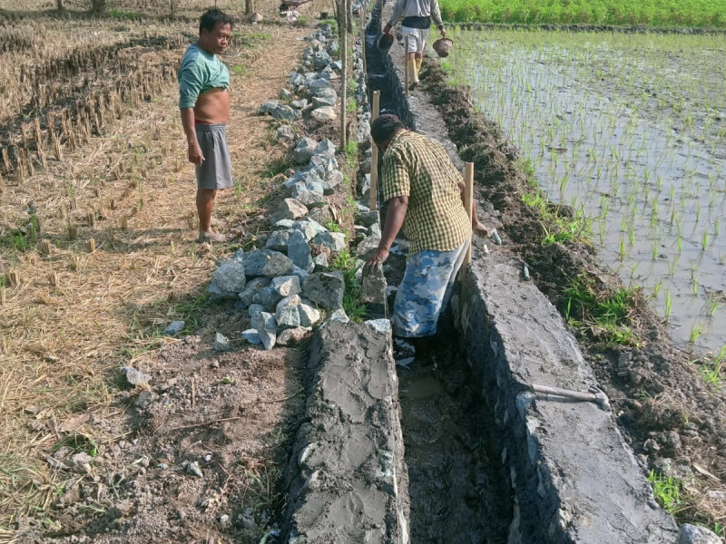 Talud Saluran Irigasi Dusun Carik Kauh dan jembatan